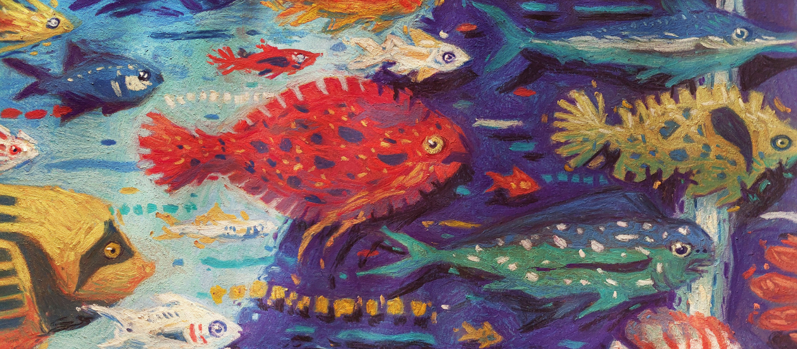 Sailing Fish Details