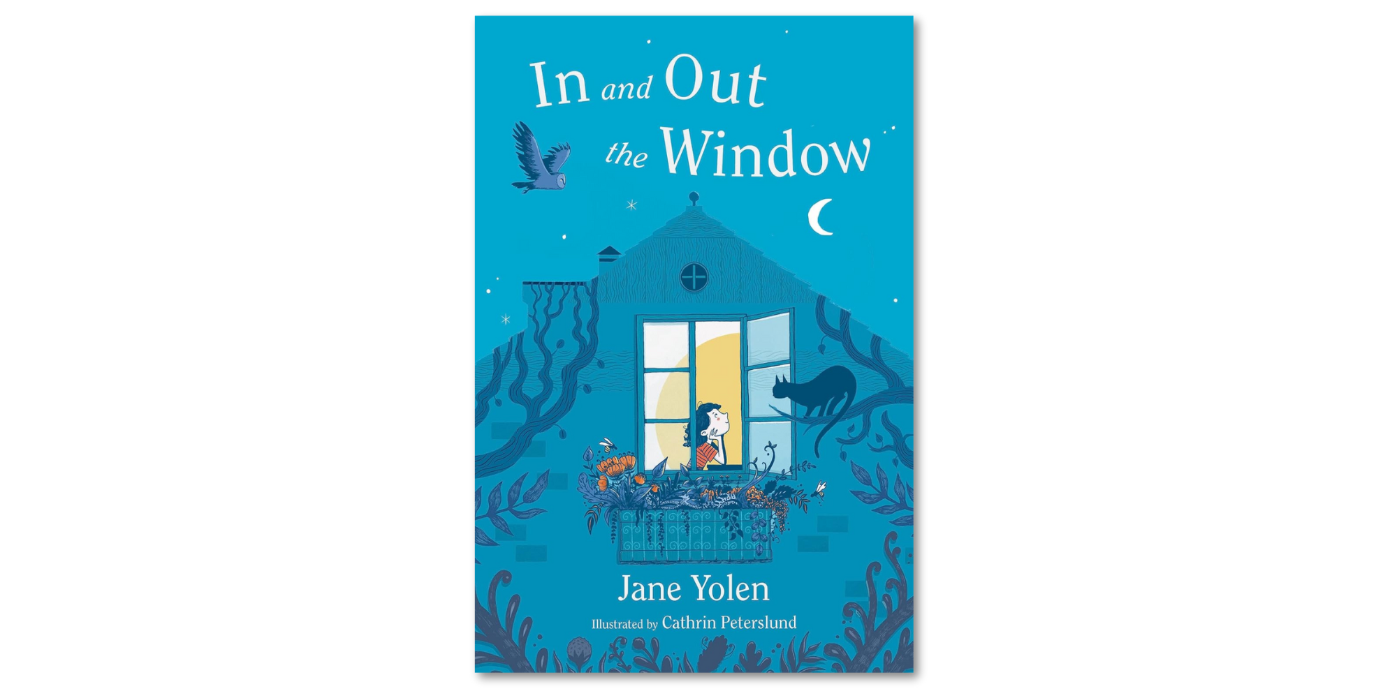 In and Out the Window