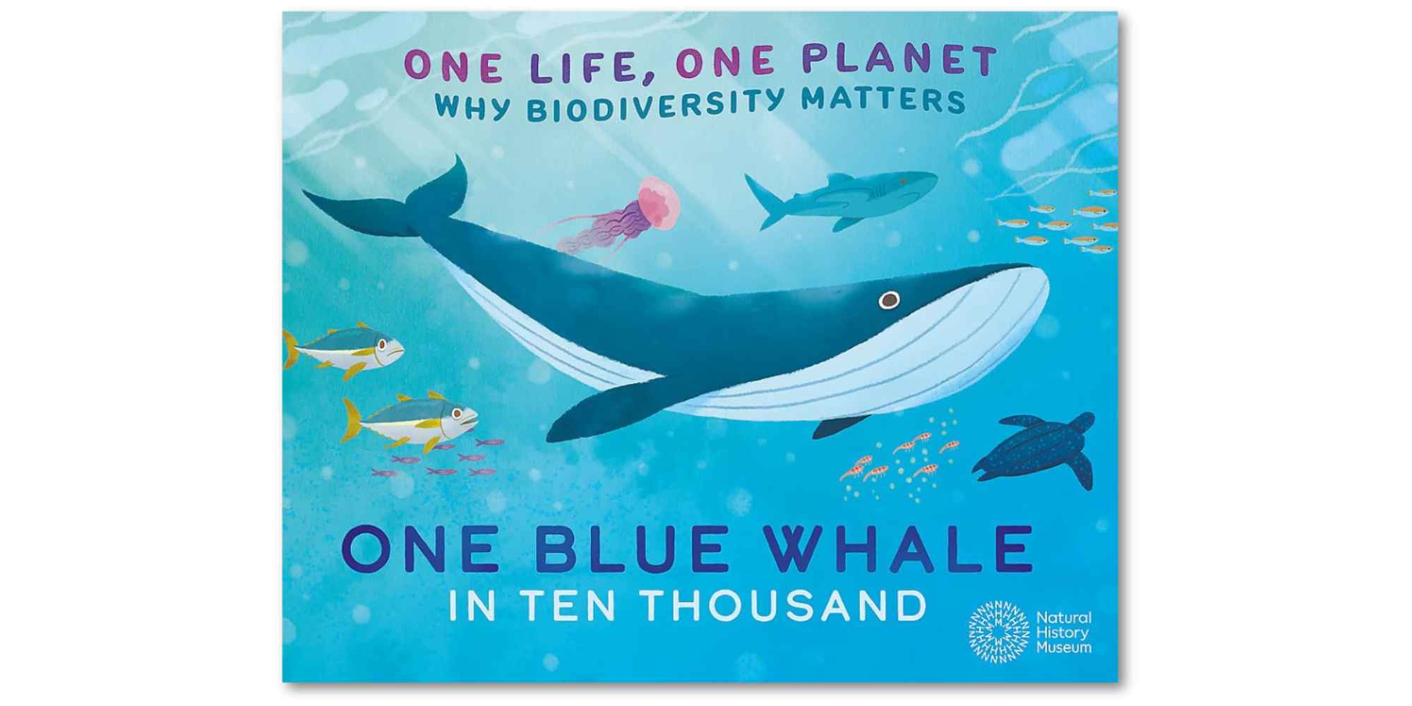One Life, One Planet: One Blue Whale in Ten Thousand