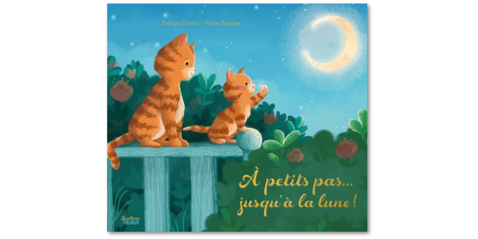 A petits pas… Jusqu'à la lune!