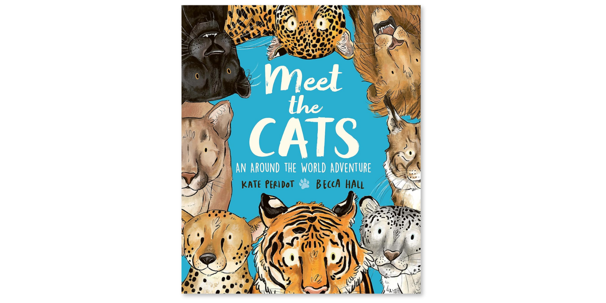**Meet the Cats**