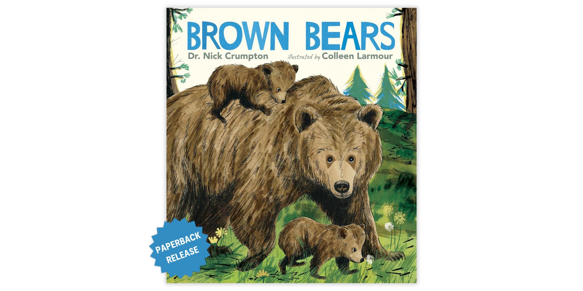 Brown Bears