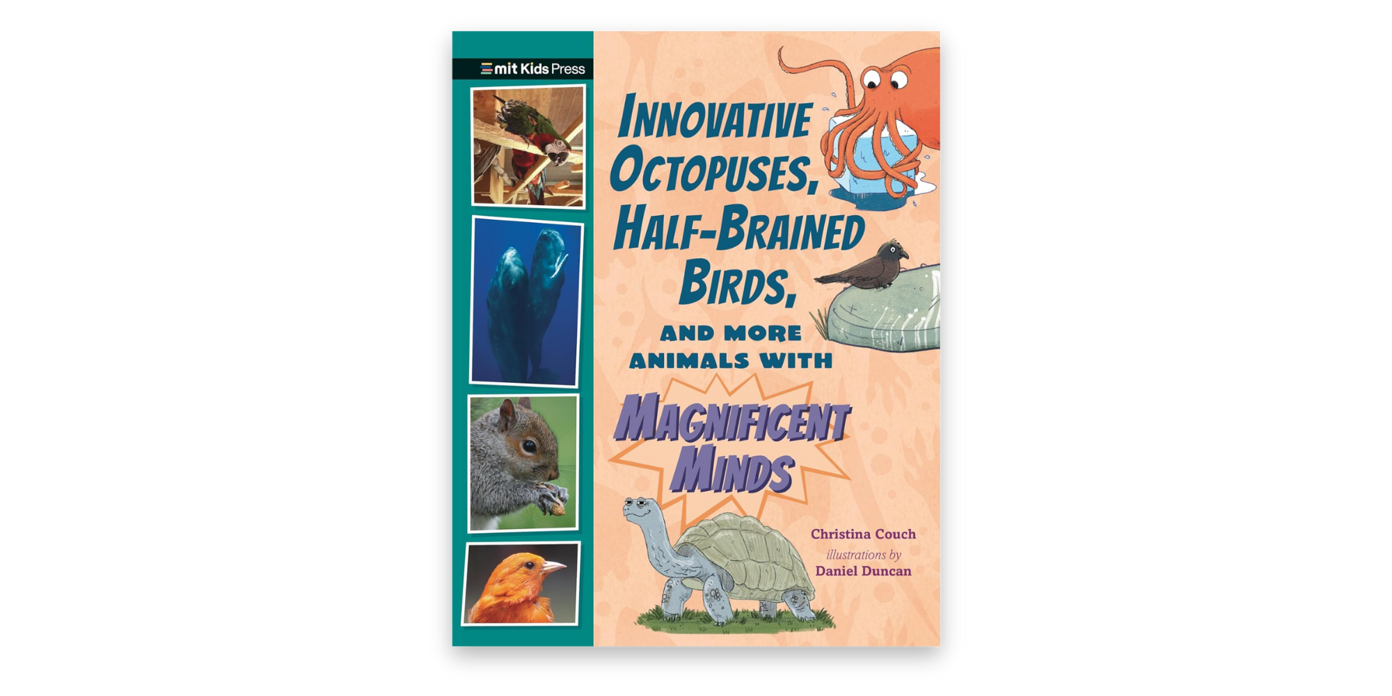 Innovative Octopuses, Half-Brained Birds, and More Animals with Magnificent Minds