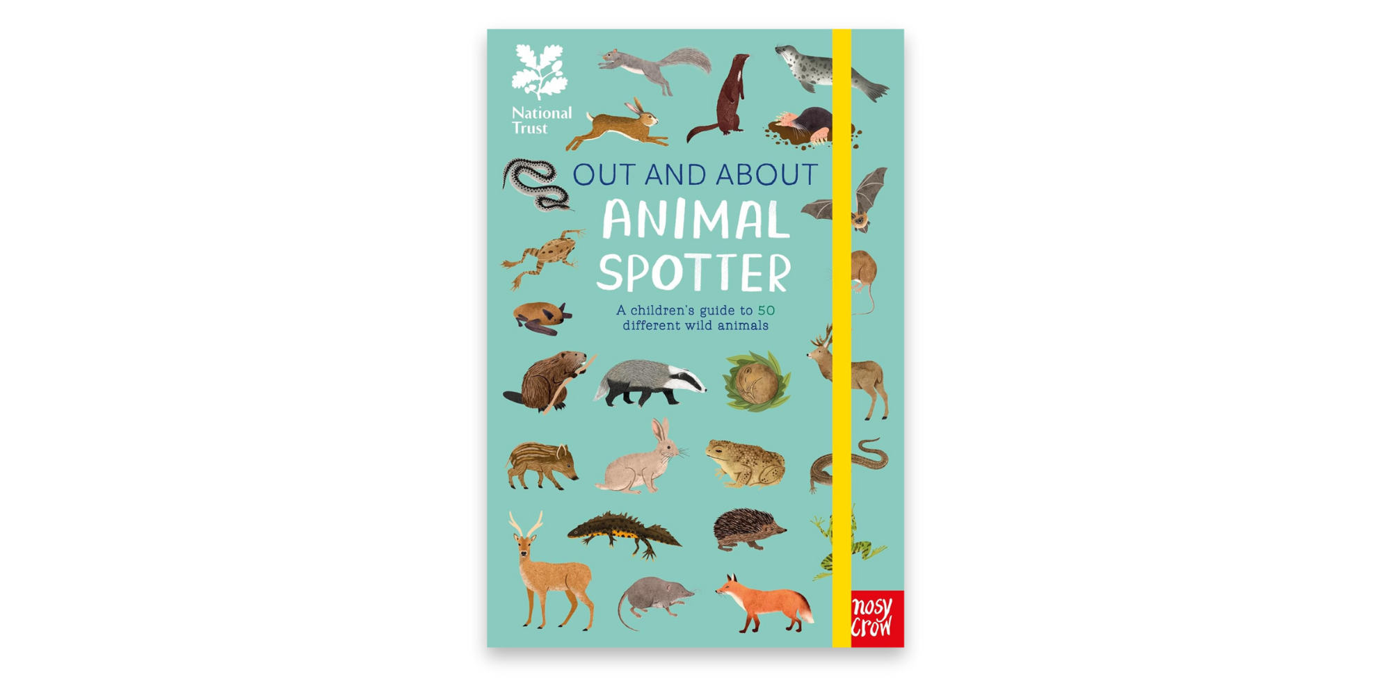 Out and About: Wild Animal Spotter