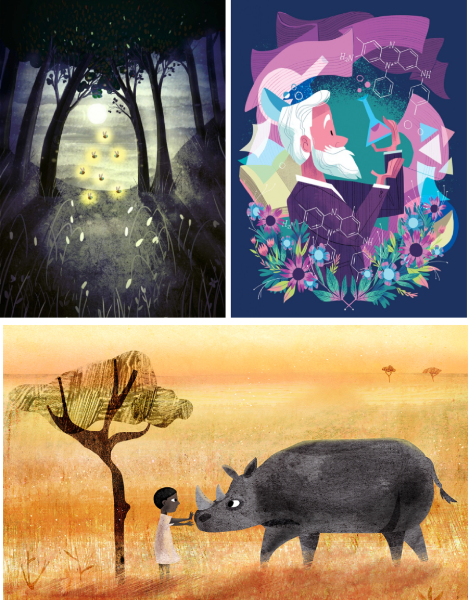 Examples of illustration for education: by David Litchfield's, Zoe Persico and Maddie Frost.