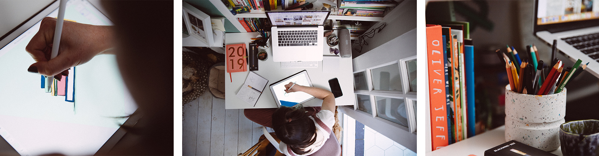 Rachael Presky Bright Illustration