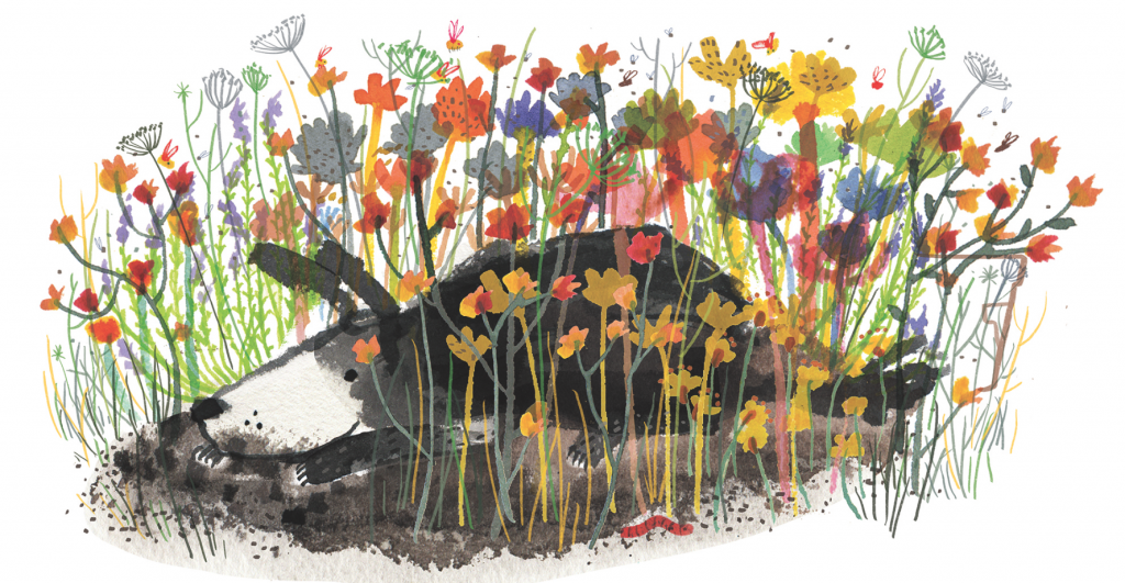 cover of time for bed fred by yasmeen ismail