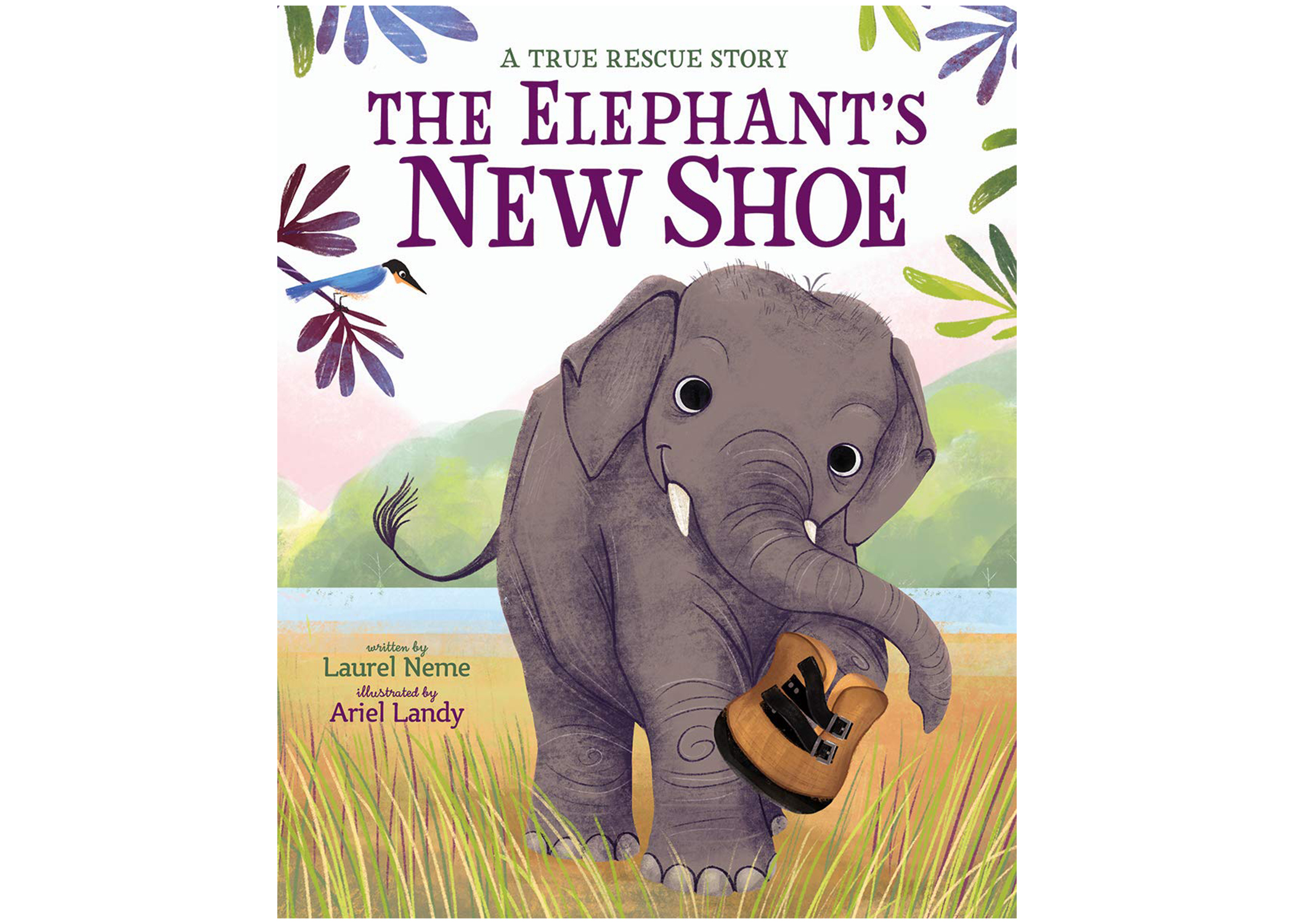 shoe