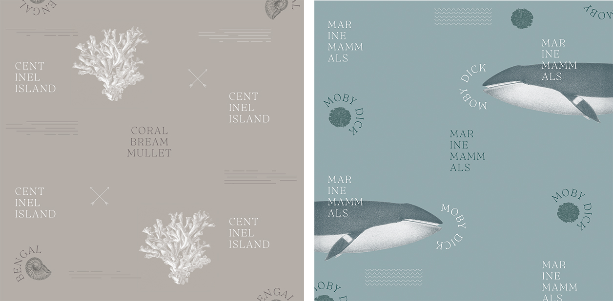 Raquel Marin Bright Illustration Typography Packaging Design