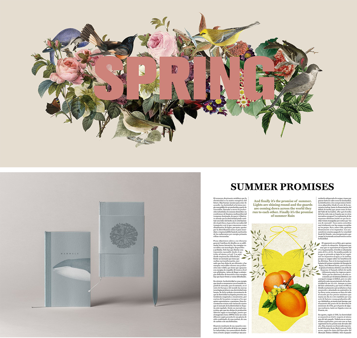 Raquel Marin Bright Illustration Typography Packaging Design