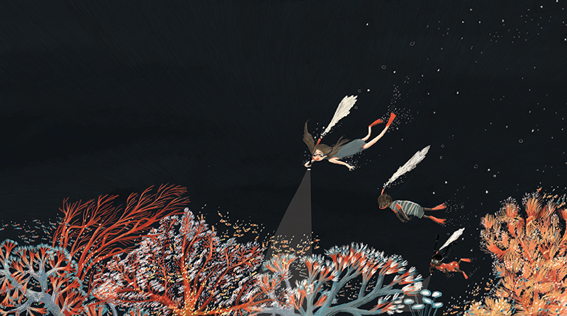 Illustration spread from The Night Box