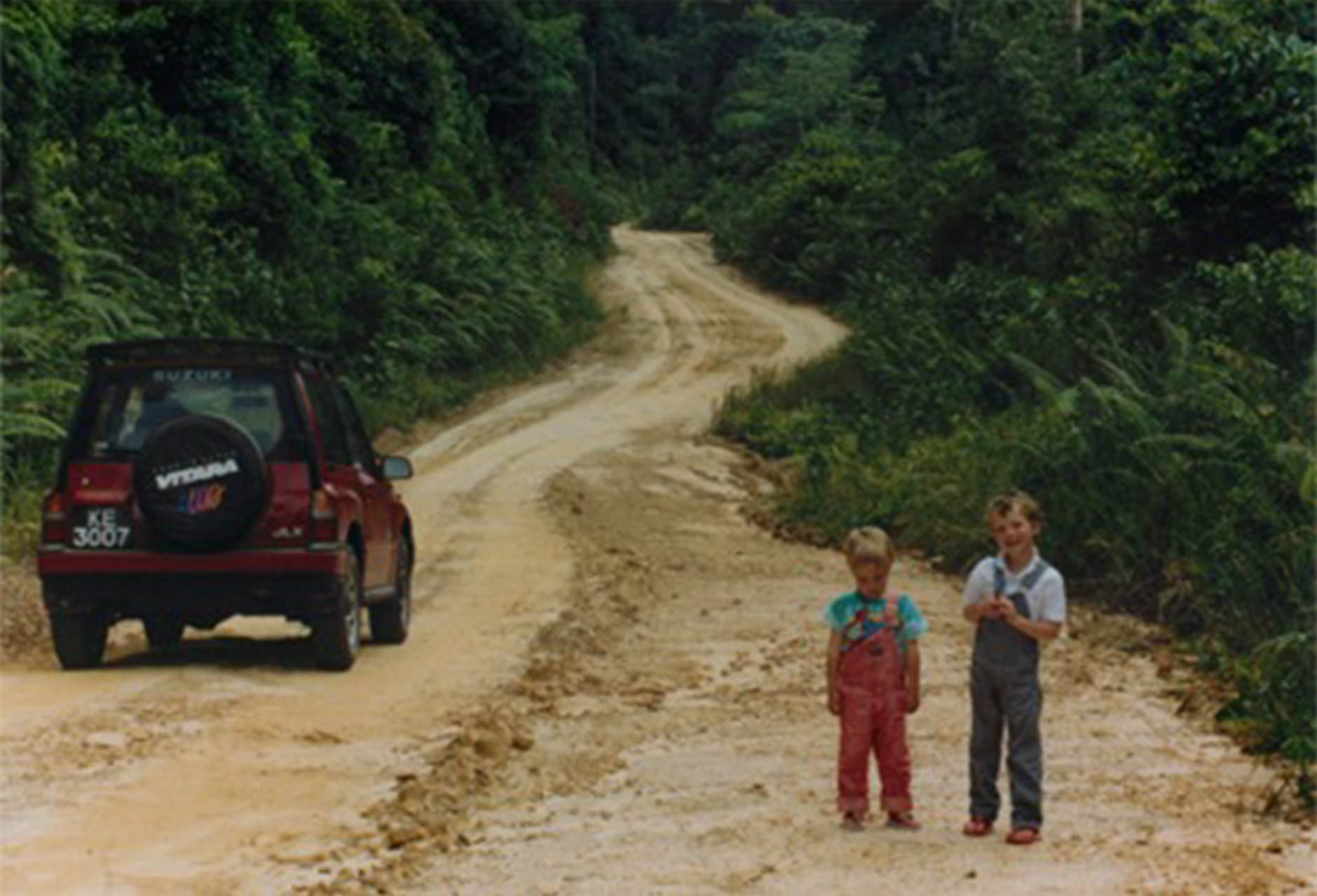 jungle