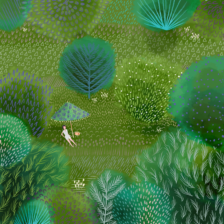 Jane Newland landscape