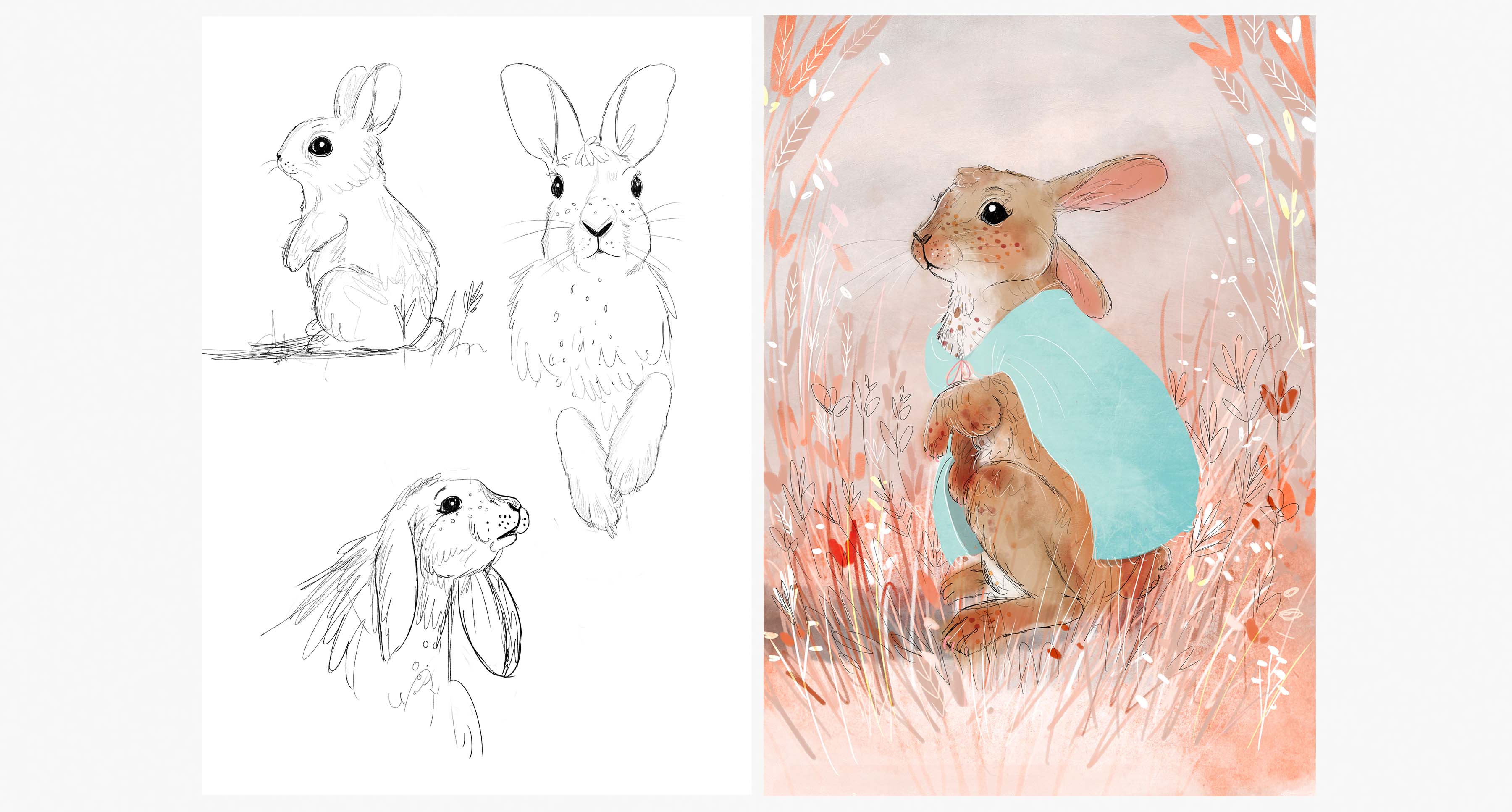 Bunny sketches