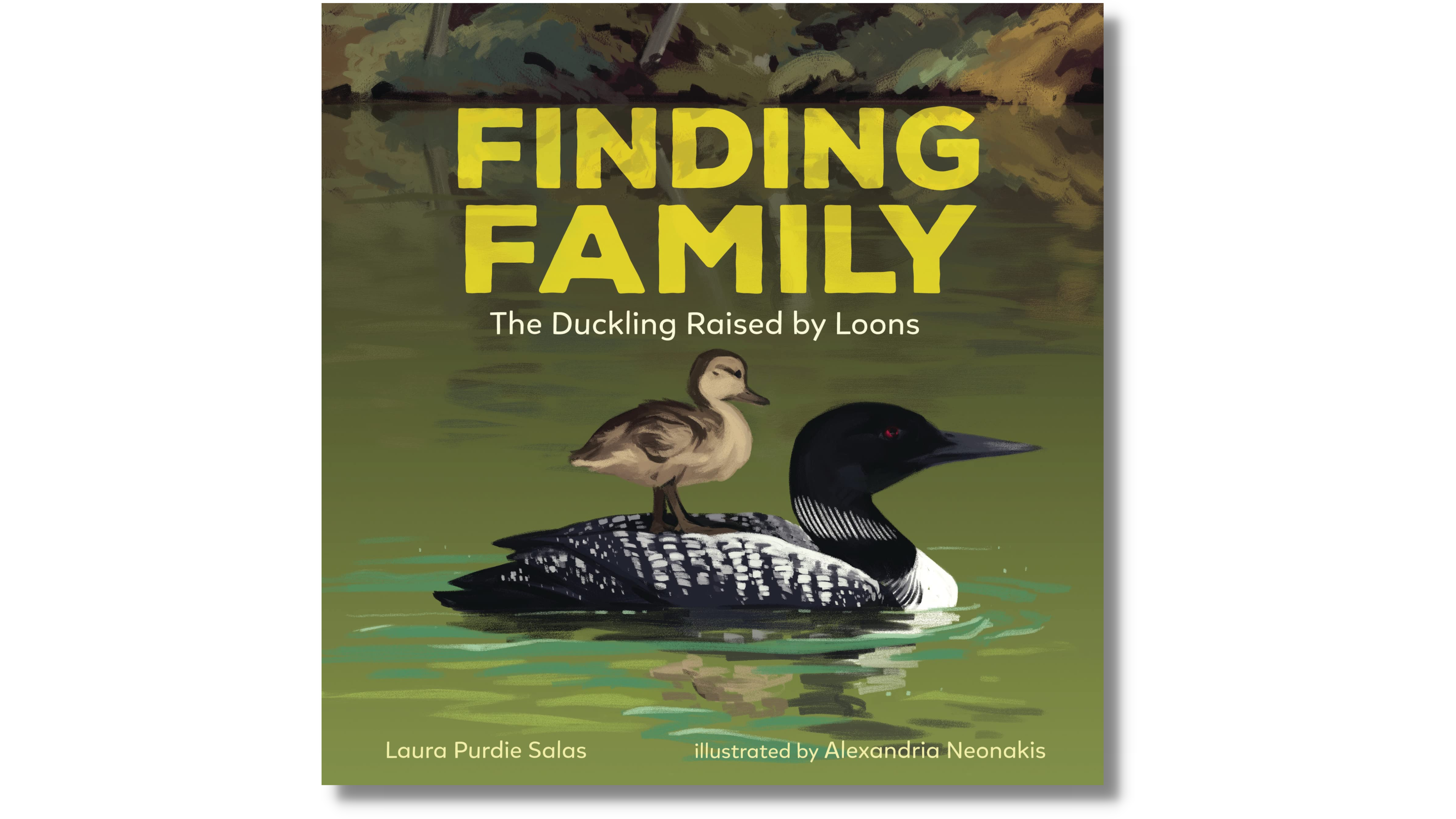 Finding Family: The Duckling Raised by Loons