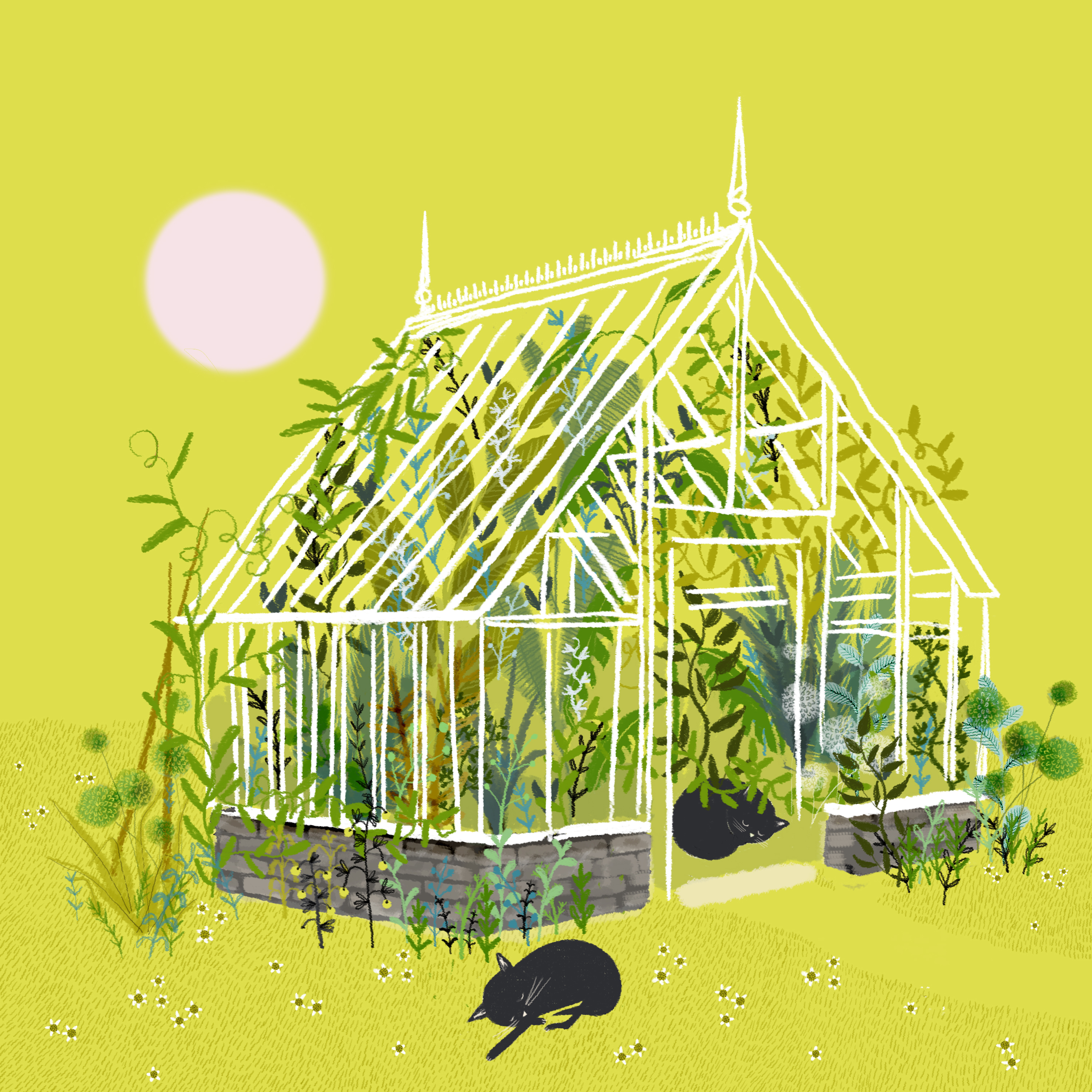 ![jane newland summer greenhouse with cat